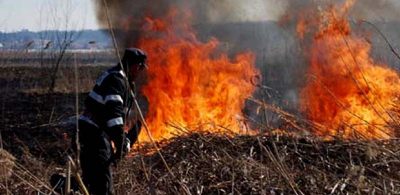 Zeci de hectare de teren din Caraș-Severin au fost afectate de incendii de vegetație uscată 1 vegetaţie uscată