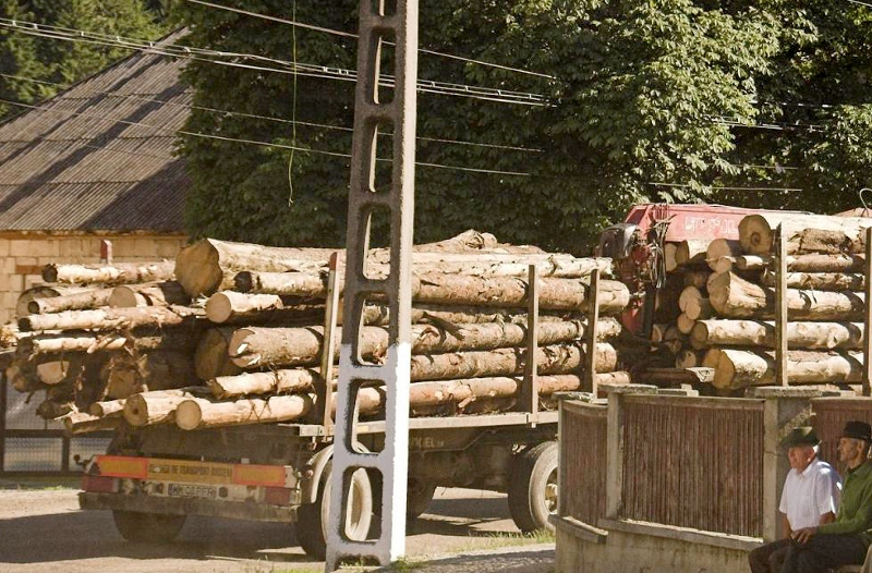furt lemne