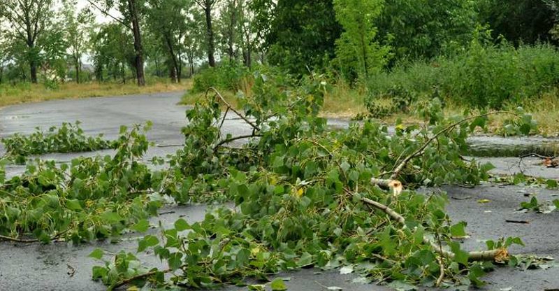 Care sunt urmările furtunii de noaptea trecută în Caraș-Severin 1 furtună