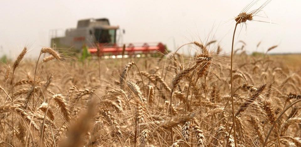 Agenţia de Plăţi şi Intervenţie pentru Agricultură continuă autorizarea plăţii regulare pentru Campania 2020 1 agricultură