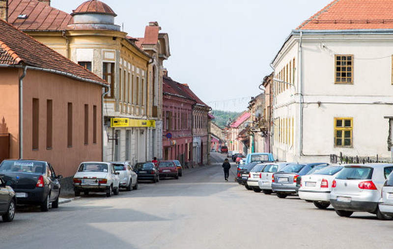 Reprezentanţii Primăriei Oraviţa dau ultimatum proprietarilor de câini să respecte legea