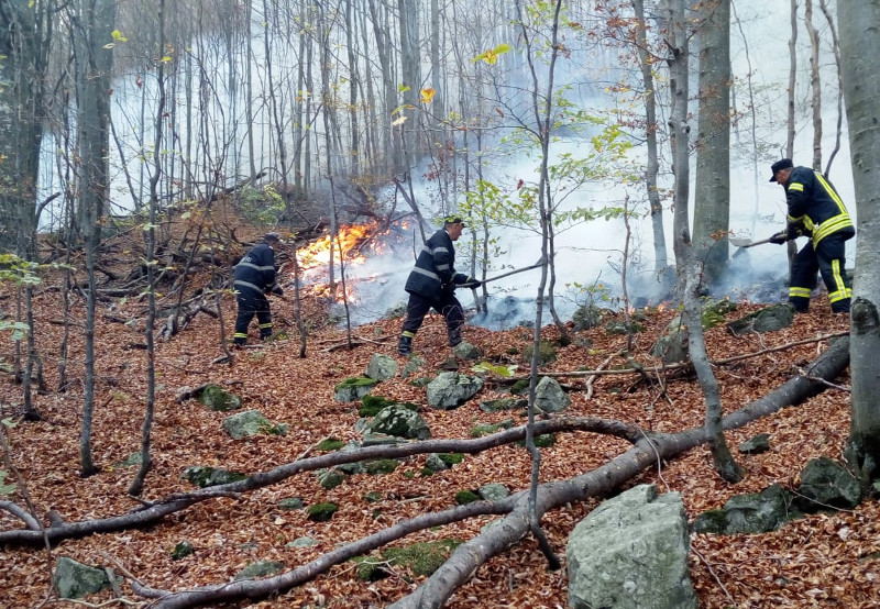 Romsilva anunță o creștere semnificativă a incendiilor în fondul forestier. Caraș-Severinul este în top 3 1 IMG 20191029 WA0003