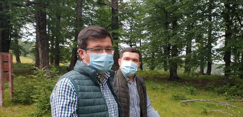 Păduri cărăşene, incluse în Catalogul Național al Pădurilor Virgine și Cvasivirgine 1 Alexe paduri