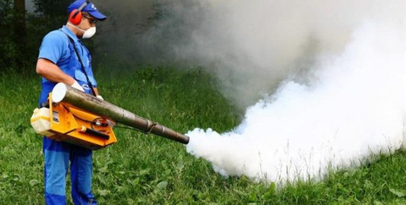 La Reşiţa sunt programate lucrări de dezinsecţie până la sfârşitul lunii 1 dezinsectie cluj e1653051780318