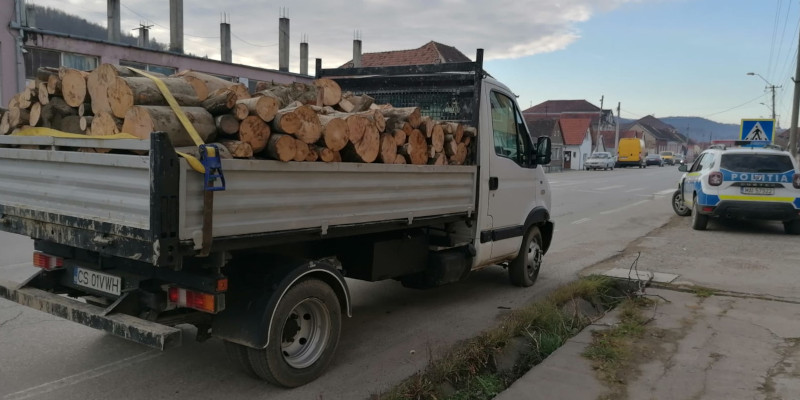 Poliţia în acţiune: controale la transporturile de lemn
