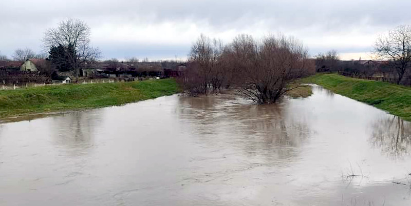 Barzava mare