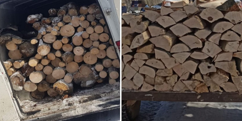 Transport ilegal de material lemnos la Poiana Buchin