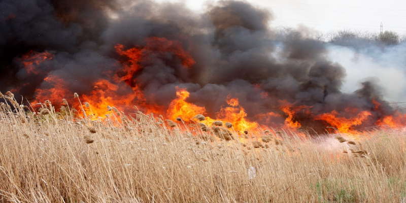 Zeci de hectare din Gherteniș și Sichevița au fost mistuite de incendii de vegetație 1 incendiu vegetatie
