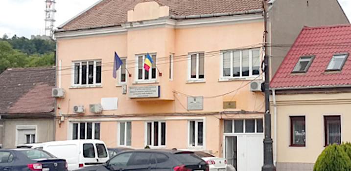 Felicia Mehedințu, șefa Direcției Agricole Caraș-Severin, în arest preventiv 1 DADR