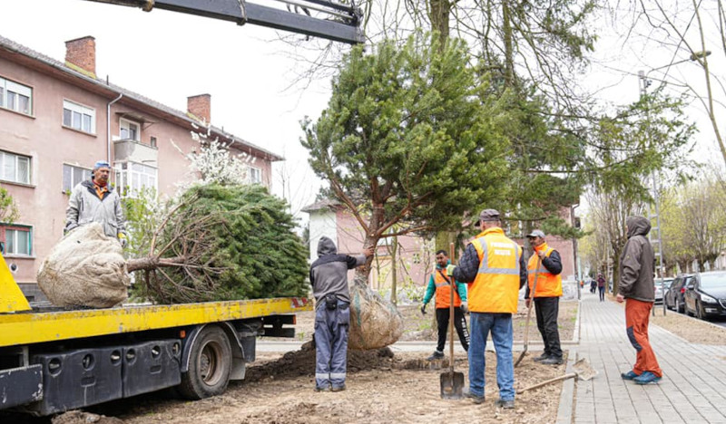 Primăria Reșița continuă cosmetizarea municipiului cu soluții adecvate pentru un oraș verde