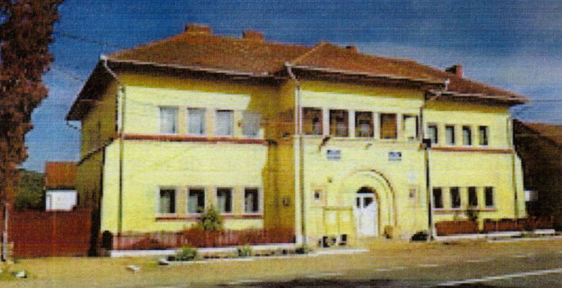 primaria constantin daicoviciu