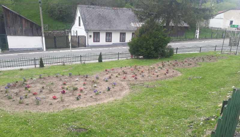 Amenajare peisagistică în valoare de 10.000 de lei, la Anina 1 anina flori