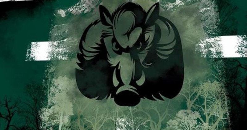 Gugulan Open Air Festival sfidează pandemia cu trupe de excepție