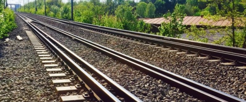 Urs lovit de tren pe Magistrala de cale ferată 900, între stațiile Armeniș și Teregova 1 sina de tren