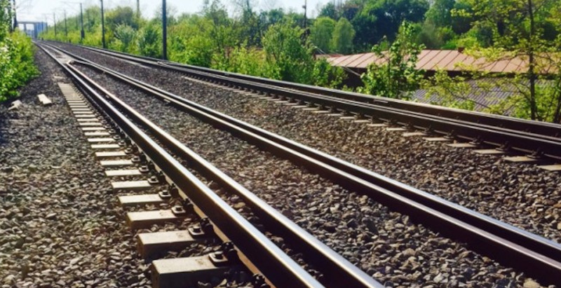 Urs lovit de tren pe Magistrala de cale ferată 900, între stațiile Armeniș și Teregova