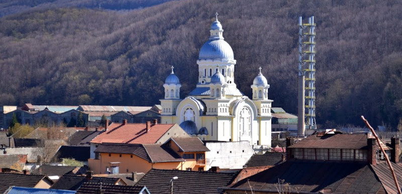 Studenții igienizează zona Muncitoresc a Reșiței 1 muncitoresc