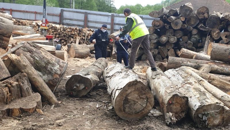 În 2021, Garda Forestieră Timișoara a aplicat amenzi de peste 1.800.000 de lei 1 garda forestiera