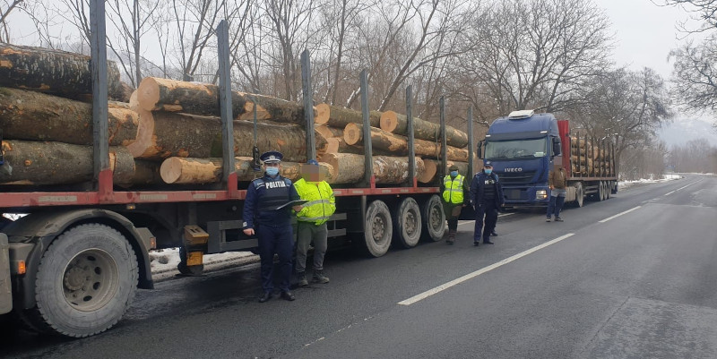 În luna ianuarie, Garda Forestieră Timișoara a dat amenzi de 74.000 de lei 1 furt lemn