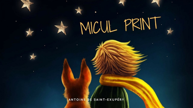 Ziua Internațională a Cărții pentru Copii va fi marcată la Reșița printr-o serie de acțiuni 1 micul print carte