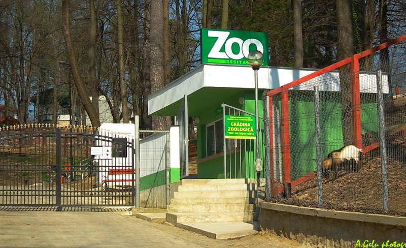 zoo resita