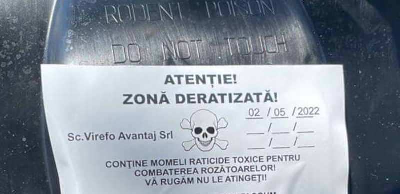 La Bocșa a fost demarată o campanie de deratizare pentru combaterea rozătoarelor 1 deratizare e1651820246478