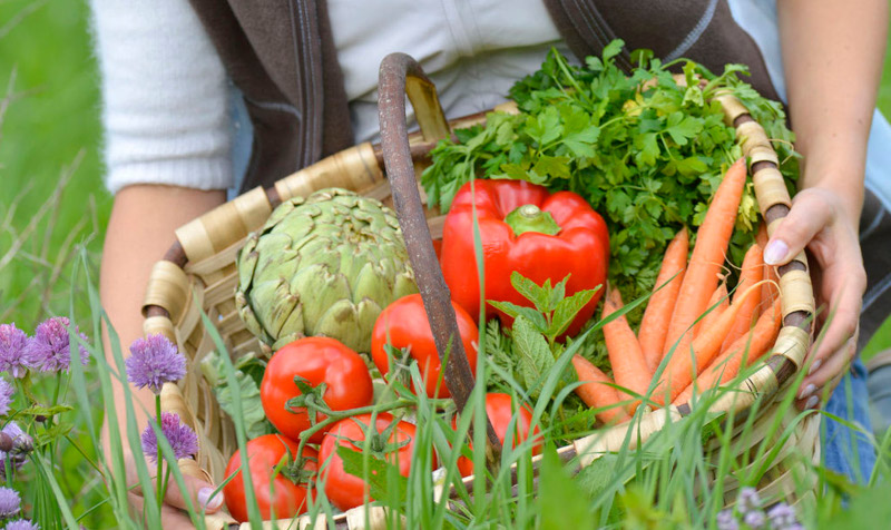 Începând de astăzi vor putea fi contractate microgranturile și granturile destinate sectorului agroalimentar 1 sectorul agroalimentar