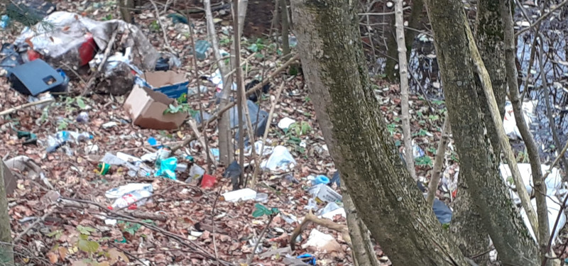 GEC Nera: „Pădurile de pe Valea Minișului, îmbâcsite de depozite haotice de deșeuri“ 1 deseuri vale minisului 5