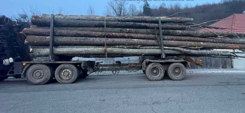 Un bărbat din Anina a primit amendă de 15.000 de lei pentru nerespectarea normelor privind transportul materialului lemnos 1 lemn transport