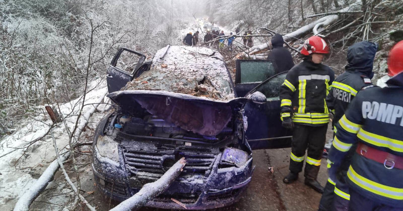 Un minor de 14 ani a murit după ce un copac a căzut pe autoturismul în care se afla 1 accident copac cazut