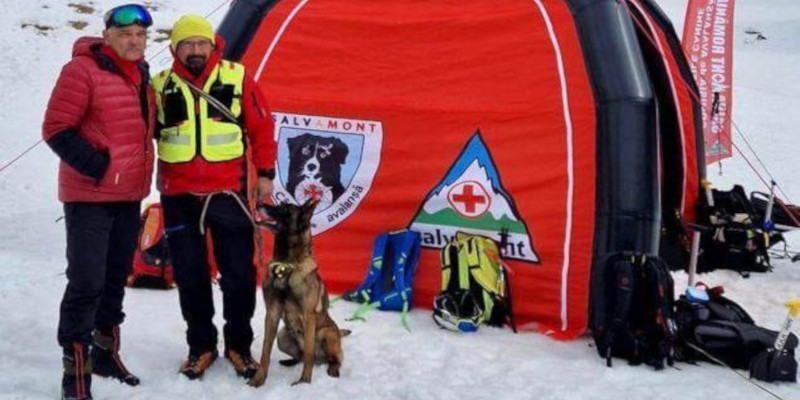 Cristian Brecica şi căţeluşa Vreni, reconfirmaţi ca echipaj de salvare 1 cainii sar 1