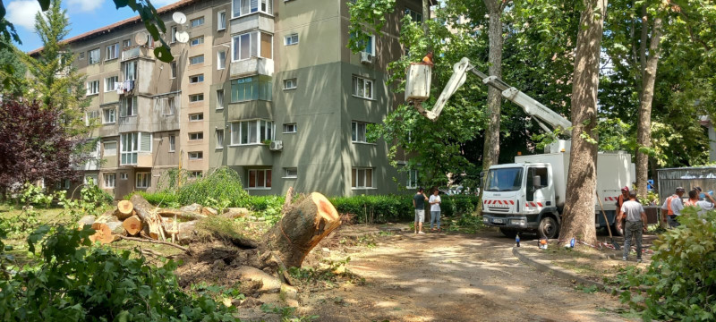 Jandarmii cărășeni au intervenit, alături de colegii lor pompieri, în sprijinul celor afectați de vijelia de aseară 2 copaci cazuti carrefour